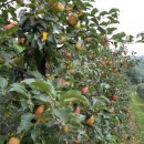 신바람농장 이미지