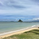 일주농장 | 하와이 자유여행 오아후섬 일주 단독투어 추천