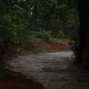 진덕사입구 이미지