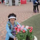 돔베낭골 이미지