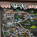 정남진 편백숲 우드랜드 이미지