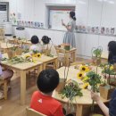 비누코딩교실 이미지