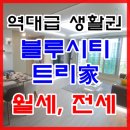 블루시티트리가 이미지
