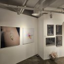 사진예술 | 사진으로 사유하는 감각의 흐름, 계원예대 사진예술과 졸업전시 <감각 지각 자각> 관람 후기