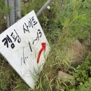 (주)거대마루 | 대구캠핑장 군위 팔공마루오토캠핑앤캠프닉: 노키즈 감성 캠핑의 매력 ⭐️⭐️⭐️⭐️ 전문캠퍼 초보캠퍼가 찾기...