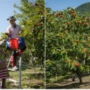 밀양농장 이미지