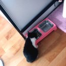 반월동물병원 이미지