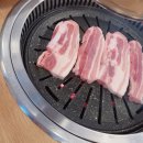 황소야돼지야 이미지