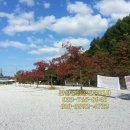 계곡가든민박 이미지