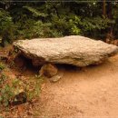 목감초등학교 이미지