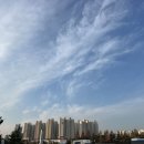 김종행정사사무소 이미지