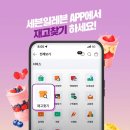 세븐일레븐 부산해운대미포점 네이버블로그