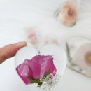 연우공방