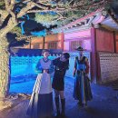 뉴대장금 | 251102 수원 데이트 코스 추천_스타필드 / 화성행궁 야간개장 / 행리단길 소품샵 / 로우파이브 라자냐...