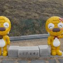 솔로몬로파크헌법광장 네이버블로그