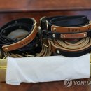 굥거니가 날리면 한테서 받은 선물 이미지