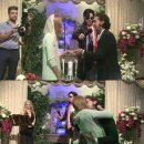 고스고스2 이미지