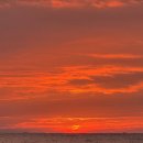 제주김박물관 이미지