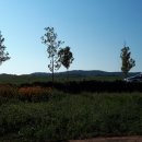 봉명농장 이미지