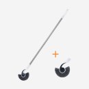 솔 피시 이미지