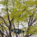 농부네 텃밭 민박 이미지