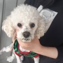 신천파출소 이미지