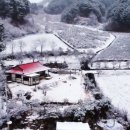 빨간지붕 - 원주시 무릉로 15 | 빨간지붕