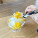 남한강변길 | 경기도 드라이브코스 추천 양평 브런치 맛집 비마이가든 양평 내돈내산 후기