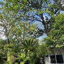 정원카 | 치앙마이 정원카페 4번갔던 카페드솥 메뉴 후기