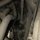 오렌지카크리닉 이미지