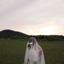 시그널그라피