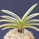 청야농장 이미지