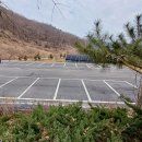 내안의숲 이미지