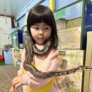 제주도 동물 먹이 체험 동물원 [제주전시컨벤션센터] 솔직후기