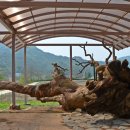 화령공원(반송) 이미지