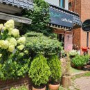 석호공원로 이미지