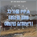 자가용 PPA 태양광 피해 예방 방법에 대해 알아보기 이미지