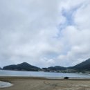 남해36.5