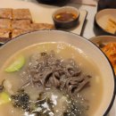 Traditional 이미지