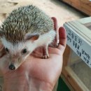 자연아놀자박물관 이미지