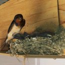 마리네집 민박 이미지