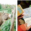 디지털스튜디오이알(주) | 1000년 역사의 비밀 순례길! 로마로 향하는 비아 프란치제나 완벽 가이드