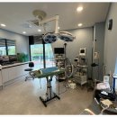 대구착한동물병원 이미지