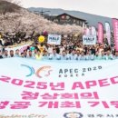 APEC로 이미지