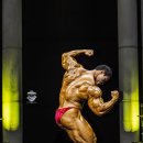 피트니스 럭스 이미지