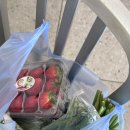 오빠네 과일 야채 이미지