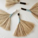 웰리스팜 이미지