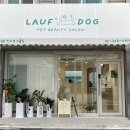 라우프독 이미지