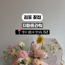 지따플라워