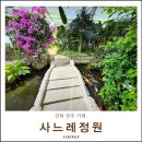 새 봄 쉽게 가꾸는 실내 가드닝 | 경북 영주 카페 사느레정원 한옥 문수 수목원 온실 실내데이트 추천